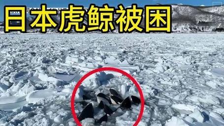 澳门香港 第9页